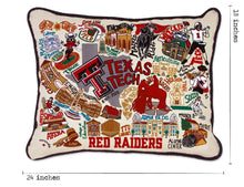 Load image into Gallery viewer, Texas Tech University Collegiate Embroidered Pillow Pillow catstudio