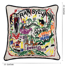 Load image into Gallery viewer, Transylvania Hand-Embroidered Pillow - catstudio
