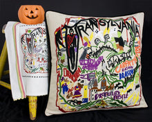 Load image into Gallery viewer, Transylvania Hand-Embroidered Pillow - catstudio