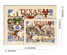 Load image into Gallery viewer, University of Texas Collegiate Fine Art Print Art Print catstudio
