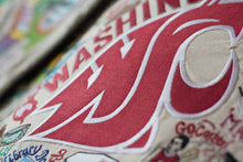 Load image into Gallery viewer, Washington State University Collegiate Embroidered Pillow - catstudio