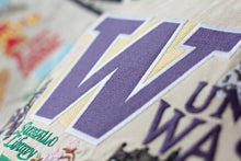 Load image into Gallery viewer, Washington, University of Collegiate Embroidered Pillow - catstudio