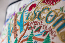 Load image into Gallery viewer, Wisconsin Hand-Embroidered Pillow - catstudio