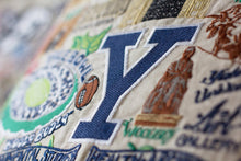 Load image into Gallery viewer, Yale University Collegiate Embroidered Pillow - catstudio