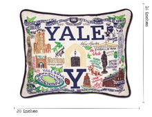 Load image into Gallery viewer, Yale University Collegiate Embroidered Pillow - catstudio