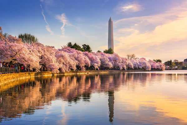 A Guide to Washington, DC Gifts—How to Choose a Gift for Beltway-Loving Friends