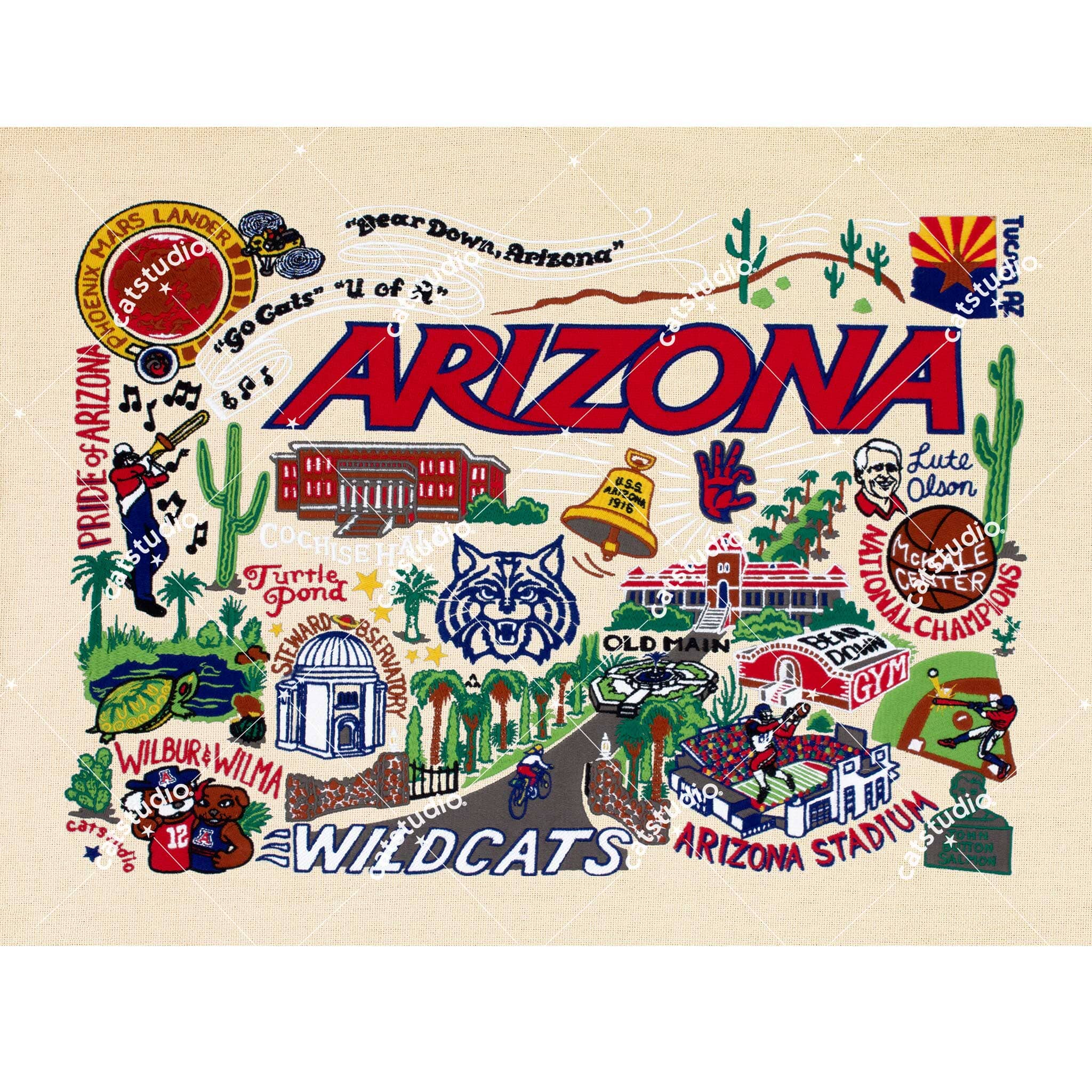 University of Arizona Embroidered Pillow | Collegiate Collection