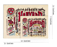 Load image into Gallery viewer, Harvard University Collegiate Fine Art Print Art Print catstudio
