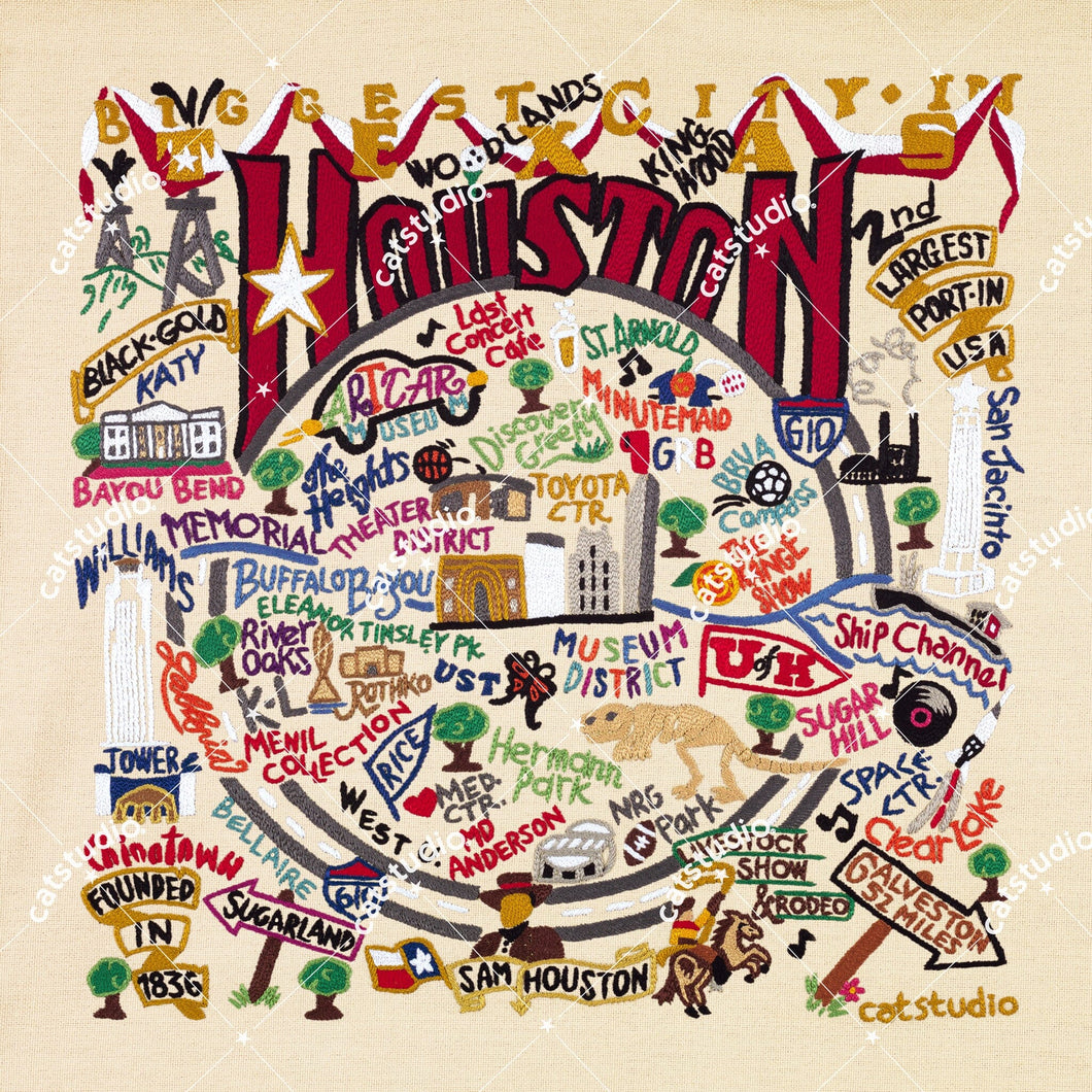 Houston Fine Art Print Art Print catstudio