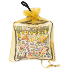 Load image into Gallery viewer, Illinois Mini Pillow Ornament Mini Pillow catstudio
