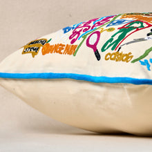 Load image into Gallery viewer, Jacksonville Hand-Embroidered Pillow Pillow catstudio 
