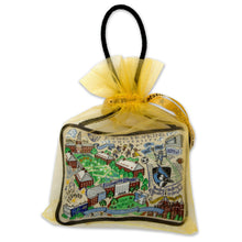 Load image into Gallery viewer, Johns Hopkins University MINI PILLOW ORNAMENT Mini Pillow catstudio
