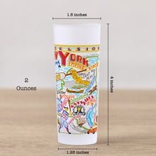Load image into Gallery viewer, New York State Shot Glass Shot Glass catstudio 
