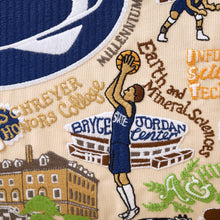 Load image into Gallery viewer, Penn State University Collegiate Embroidered Pillow Pillow catstudio 
