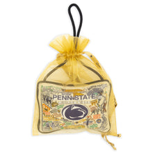 Load image into Gallery viewer, Penn State University Collegiate Mini Pillow Ornament Mini Pillow catstudio
