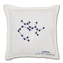 Load image into Gallery viewer, Sagittarius Astrology Hand-Embroidered Pillow Pillow catstudio
