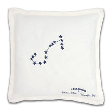Load image into Gallery viewer, Scorpio Astrology Hand-Embroidered Pillow Pillow catstudio
