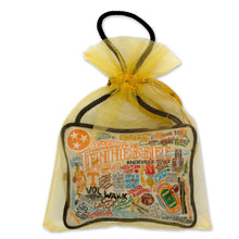 Load image into Gallery viewer, Tennessee, University of MINI PILLOW ORNAMENT Mini Pillow catstudio 
