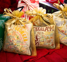 Load image into Gallery viewer, Texas A&amp;M University Collegiate Mini Pillow Ornament Mini Pillow catstudio
