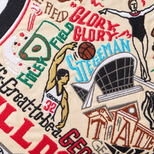 Load image into Gallery viewer, University of Georgia Collegiate Embroidered Pillow Pillow catstudio 
