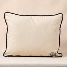 Load image into Gallery viewer, University of Texas Collegiate Embroidered Pillow Pillow catstudio 
