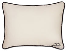 Load image into Gallery viewer, Air Force Embroidered Pillow - catstudio
