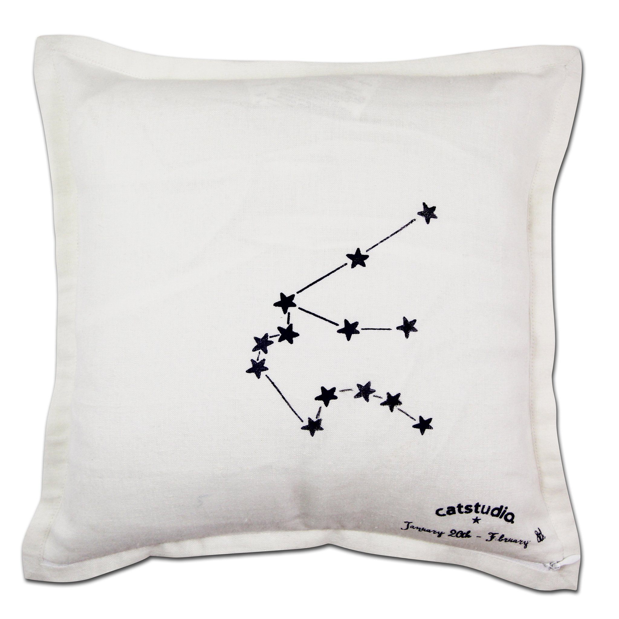 Aquarius Hand-Embroidered Pillow | Astrology Collection by catstudio ...