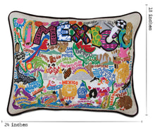 Load image into Gallery viewer, Mexico Hand-Embroidered Pillow - catstudio
