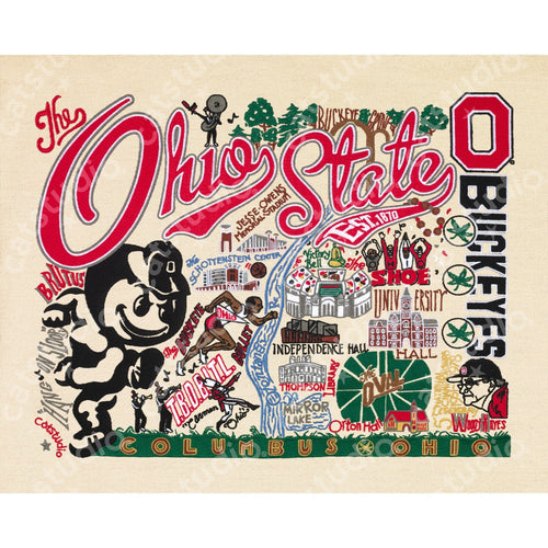 Ohio State University Collegiate Fine Art Print - catstudio