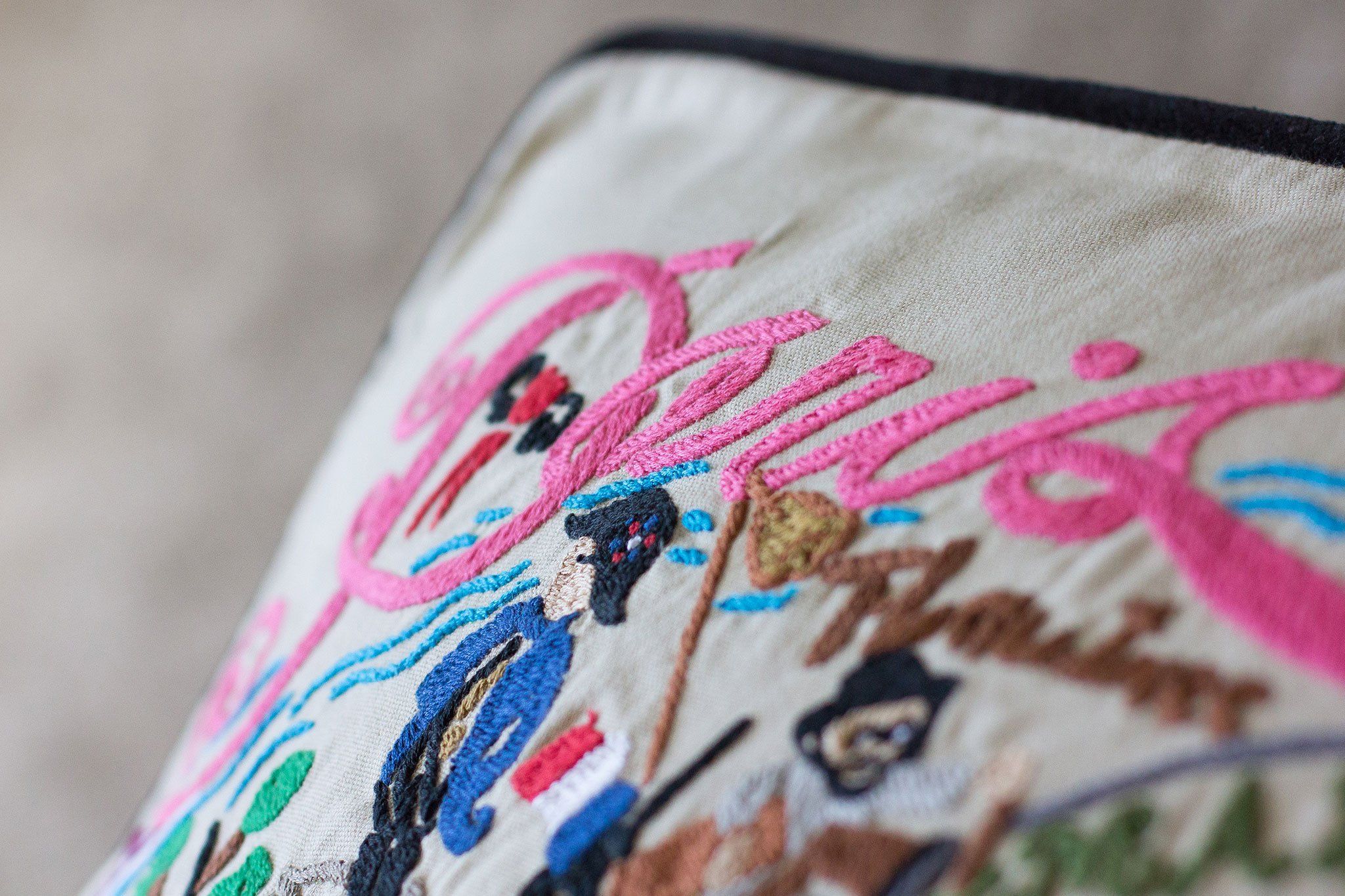Las Vegas Hand-Embroidered Pillow  Nevada Collection by catstudio –  catstudio