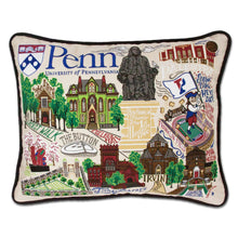 Load image into Gallery viewer, Pennsylvania, University of Collegiate Embroidered Pillow - catstudio 
