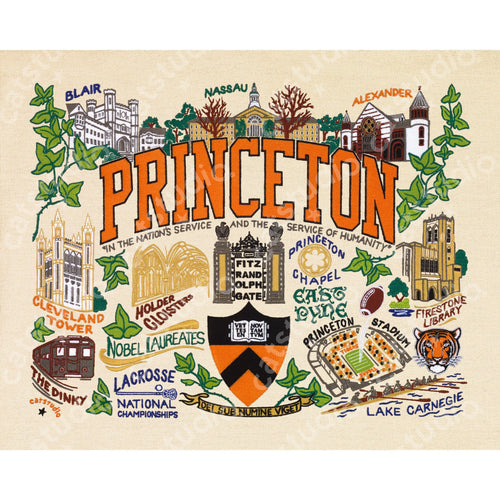 Princeton University Collegiate Fine Art Print - catstudio