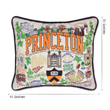 Load image into Gallery viewer, Princeton University Collegiate XL Hand-Embroidered Pillow XL Pillow catstudio
