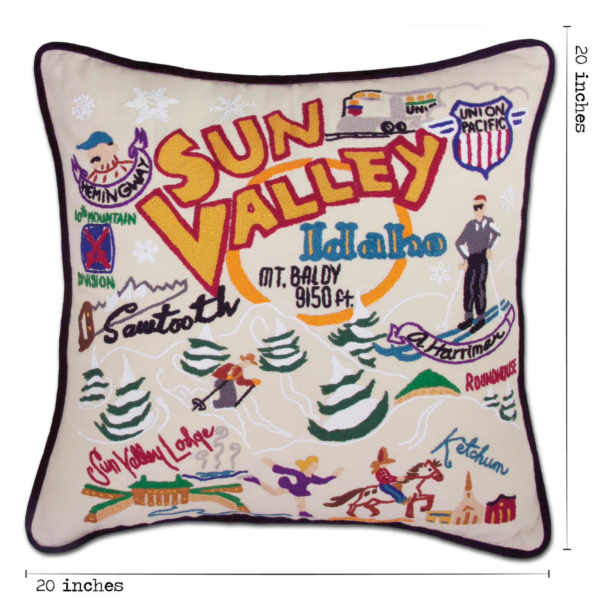 Signal Velvet 20 Square Pillow, Skidway Ink