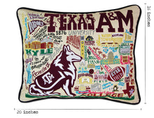 Load image into Gallery viewer, Texas A&amp;M University Collegiate Embroidered Pillow Pillow catstudio 
