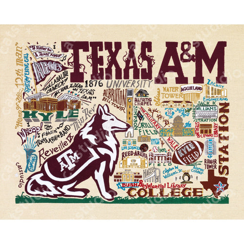 Texas A&M University Collegiate Fine Art Print Art Print catstudio